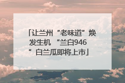 让兰州“老味道”焕发生机 “兰白946”白兰瓜即将上市