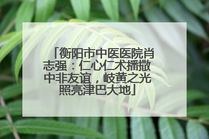 衡阳市中医医院肖志强：仁心仁术播撒中非友谊，岐黄之光照亮津巴大地