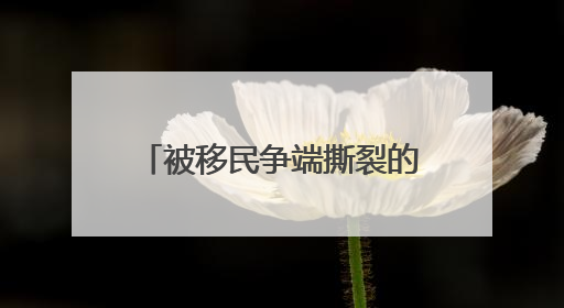 被移民争端撕裂的美国：特朗普绕开州长调兵，加州与联邦政府正面对抗