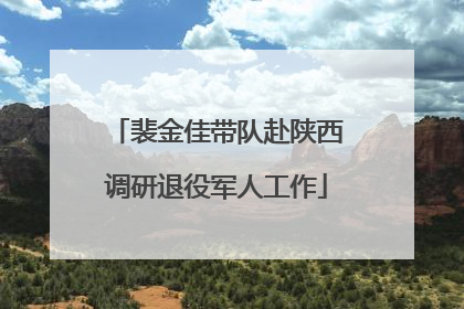 裴金佳带队赴陕西调研退役军人工作
