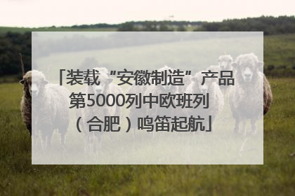 装载“安徽制造”产品 第5000列中欧班列（合肥）鸣笛起航
