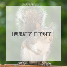 西瓜红了 日子甜了