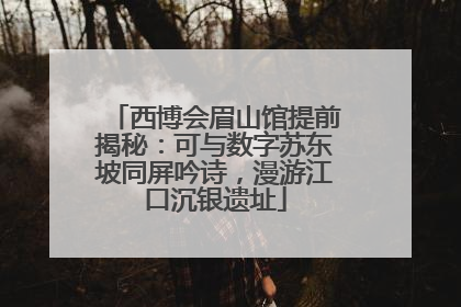 西博会眉山馆提前揭秘：可与数字苏东坡同屏吟诗，漫游江口沉银遗址