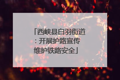 西峡县白羽街道：开展护路宣传 维护铁路安全