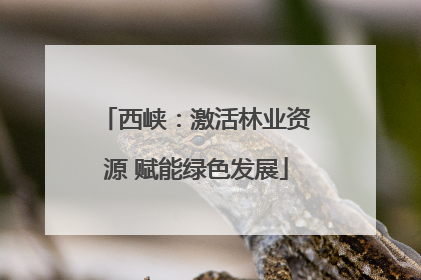 西峡：激活林业资源 赋能绿色发展