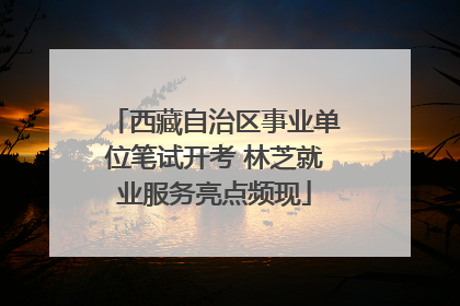 西藏自治区事业单位笔试开考 林芝就业服务亮点频现