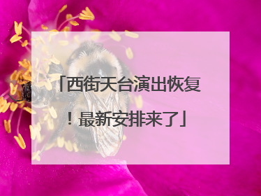 西街天台演出恢复！最新安排来了