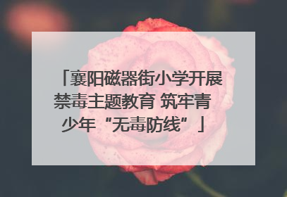 襄阳磁器街小学开展禁毒主题教育 筑牢青少年“无毒防线”