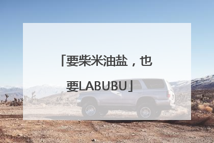 要柴米油盐，也要LABUBU
