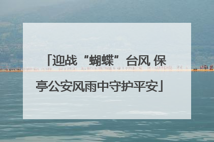 迎战“蝴蝶”台风 保亭公安风雨中守护平安