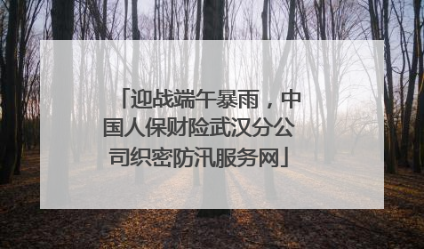迎战端午暴雨，中国人保财险武汉分公司织密防汛服务网