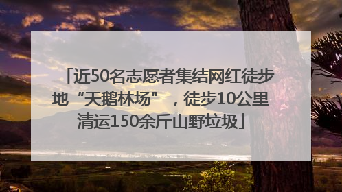 近50名志愿者集结网红徒步地“天鹅林场”，徒步10公里清运150余斤山野垃圾