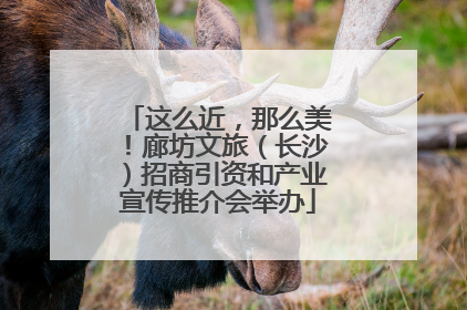 这么近，那么美！廊坊文旅（长沙）招商引资和产业宣传推介会举办