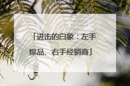进击的白象：左手爆品、右手经销商