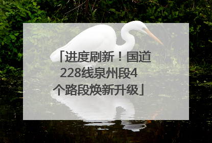 进度刷新！国道228线泉州段4个路段焕新升级