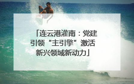 连云港灌南：党建引领“主引擎”激活新兴领域新动力