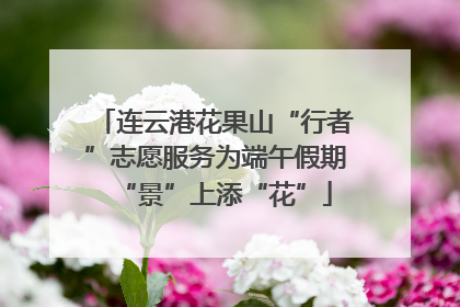 连云港花果山“行者”志愿服务为端午假期“景”上添“花”