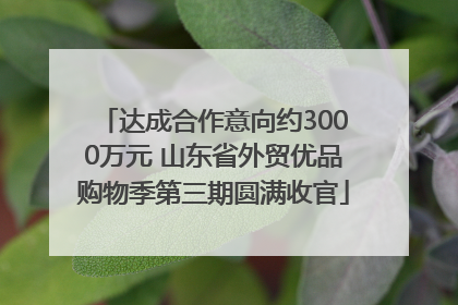 达成合作意向约3000万元 山东省外贸优品购物季第三期圆满收官