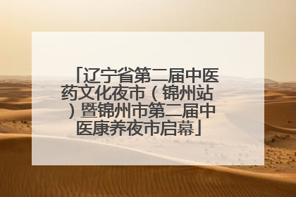 辽宁省第二届中医药文化夜市（锦州站）暨锦州市第二届中医康养夜市启幕
