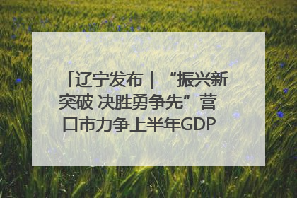 辽宁发布｜“振兴新突破 决胜勇争先”营口市力争上半年GDP增长6%左右