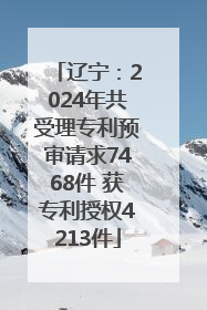 辽宁：2024年共受理专利预审请求7468件 获专利授权4213件