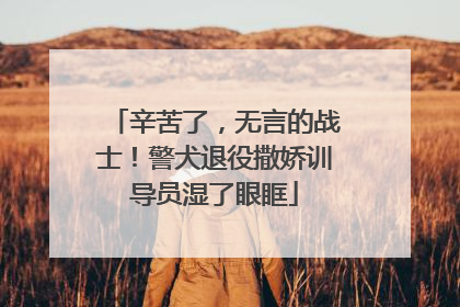 辛苦了，无言的战士！警犬退役撒娇训导员湿了眼眶