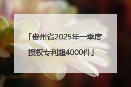 贵州省2025年一季度授权专利超4000件