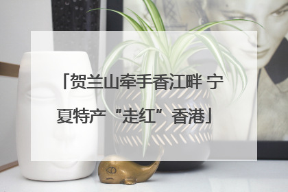 贺兰山牵手香江畔 宁夏特产“走红”香港
