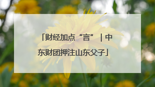 财经加点“言”｜中东财团押注山东父子