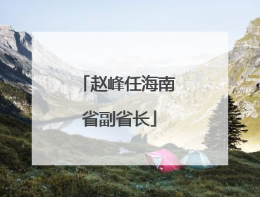赵峰任海南省副省长