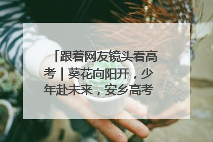 跟着网友镜头看高考｜葵花向阳开，少年赴未来，安乡高考首日的希望图景