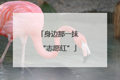 身边那一抹“志愿红”