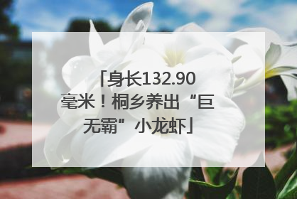 身长132.90毫米！桐乡养出“巨无霸”小龙虾