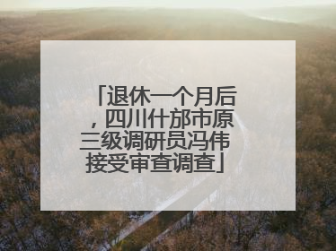 退休一个月后，四川什邡市原三级调研员冯伟接受审查调查