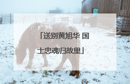 送别黄旭华 国士忠魂归故里