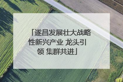 遂昌发展壮大战略性新兴产业 龙头引领 集群共进