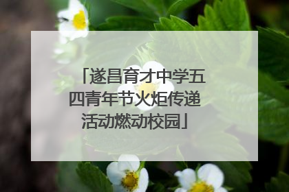 遂昌育才中学五四青年节火炬传递活动燃动校园