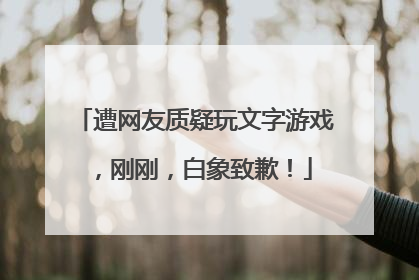 遭网友质疑玩文字游戏，刚刚，白象致歉！