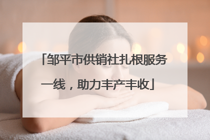 邹平市供销社扎根服务一线，助力丰产丰收