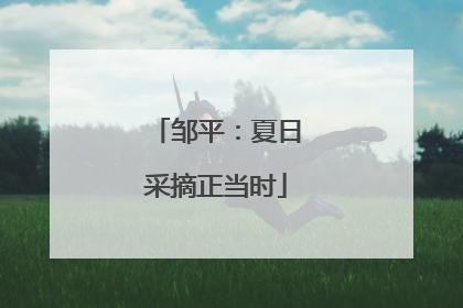 邹平：夏日采摘正当时