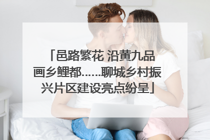 邑路繁花 沿黄九品 画乡鲤都……聊城乡村振兴片区建设亮点纷呈