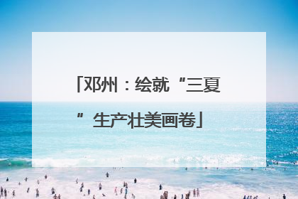 邓州：绘就“三夏”生产壮美画卷