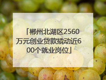 郴州北湖区2560万元创业贷款撬动近600个就业岗位