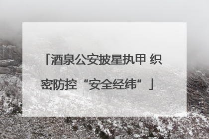 酒泉公安披星执甲 织密防控“安全经纬”