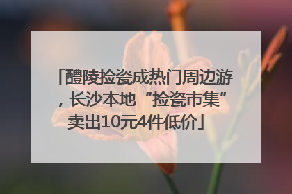 醴陵捡瓷成热门周边游，长沙本地“捡瓷市集”卖出10元4件低价
