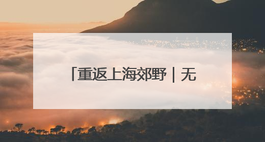 重返上海郊野｜无斑雨蛙“回乡记”