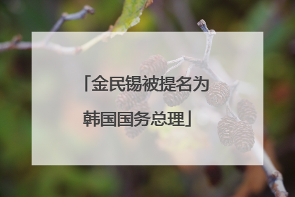 金民锡被提名为韩国国务总理