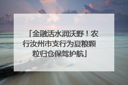 金融活水润沃野！农行汝州市支行为夏粮颗粒归仓保驾护航