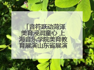 音符跃动菏泽 美育浸润童心 上海音乐学院美育教育展演山东省展演·菏泽站落幕