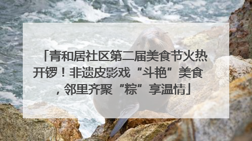 青和居社区第二届美食节火热开锣！非遗皮影戏“斗艳”美食，邻里齐聚“粽”享温情